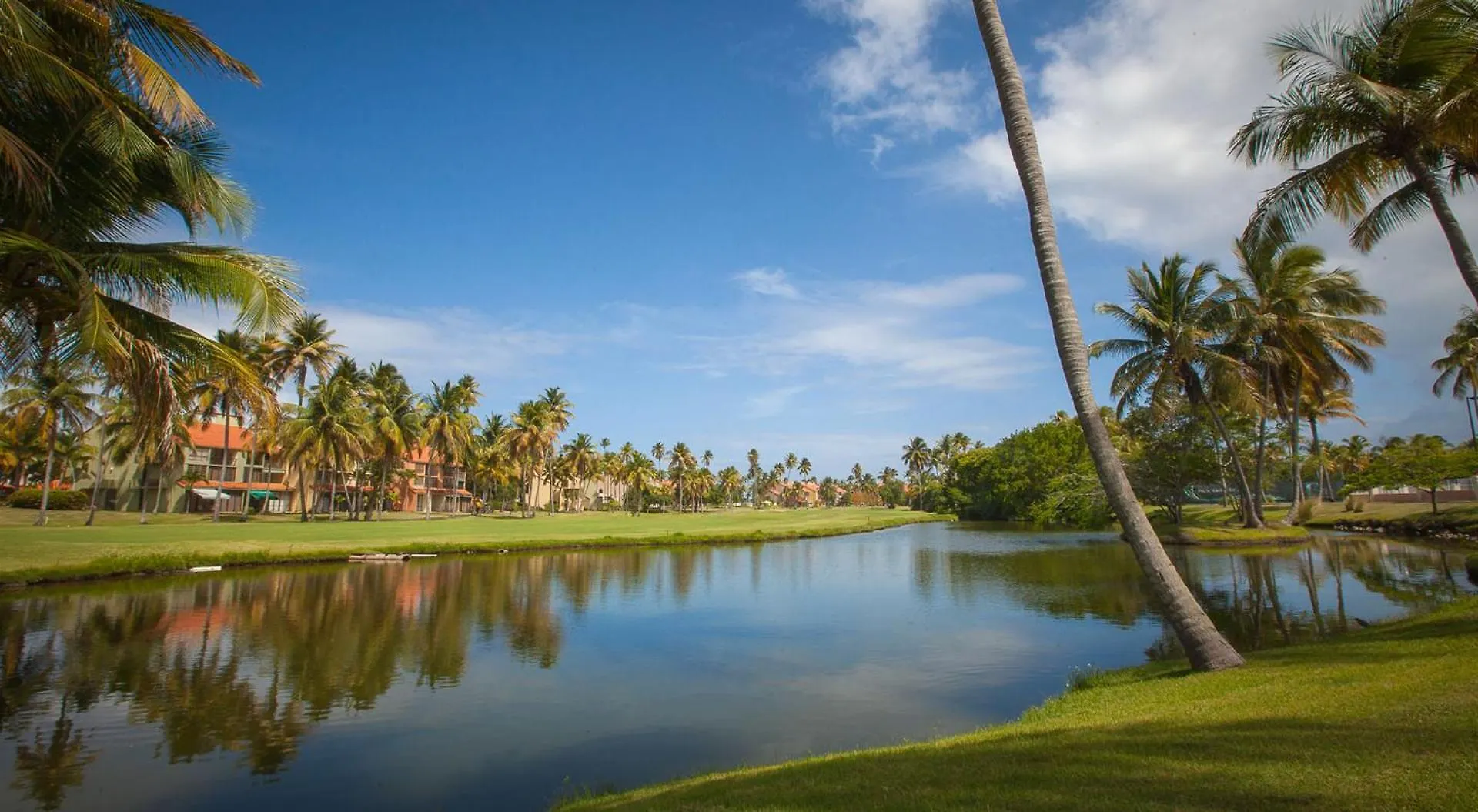 Park Royal Homestay Club Cala Puerto Rico Умакао Апарт-отель